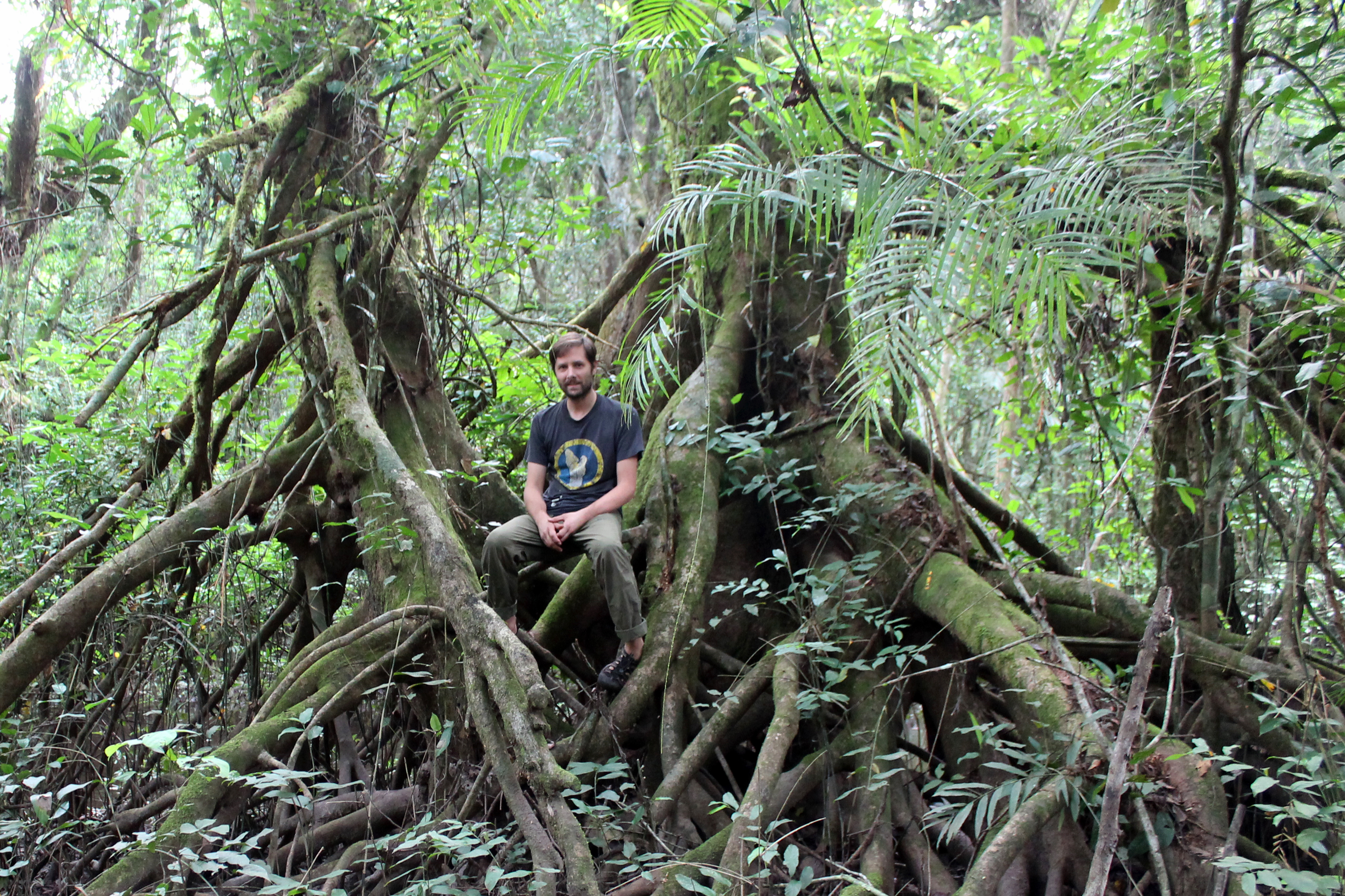 Bryn_Uapaca_Cameroon2016