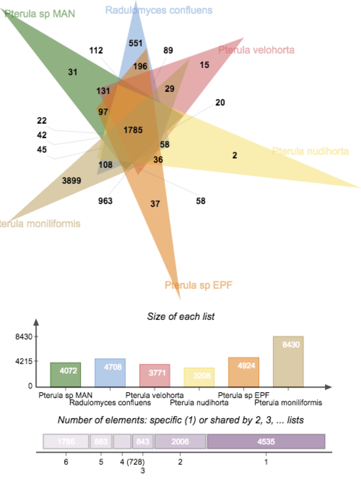 Pterulaceae_genomics